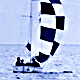 Sailing Association Web Site